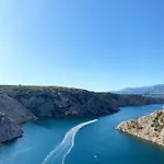 4 Palme ستاريغغاد باكلينتسا