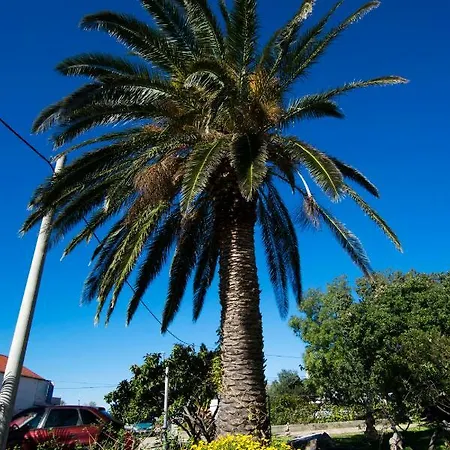 4 Palme Lejlighed