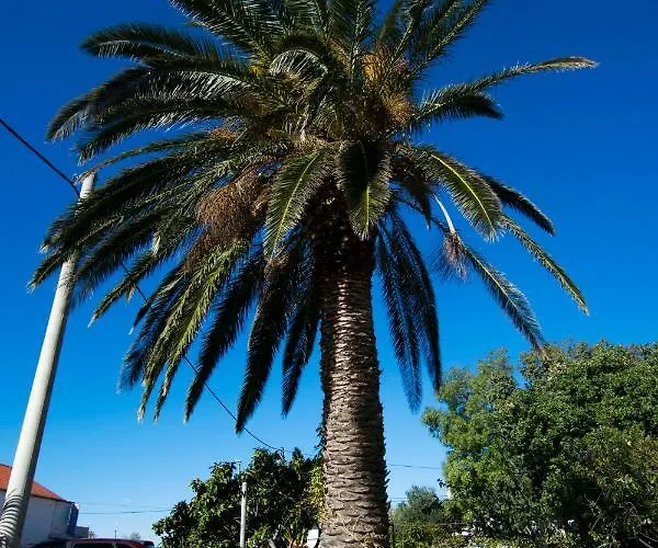 4 Palme Apartman