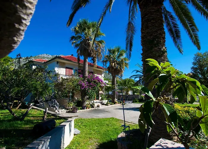 4 Palme Starigrad Paklenica